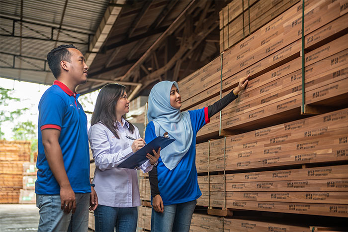 TimbeReality - Maran Timber
