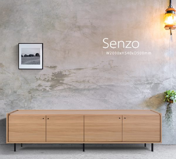 TimbeReality - Taishi Tech Industries - Senzo